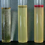 Tryptophan Broth