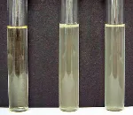 Tryptone Water