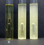 Tryptose Lauryl Sulfate Mannitol Tryptophan Broth