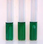 Brilliant Green Bile 2% Broth