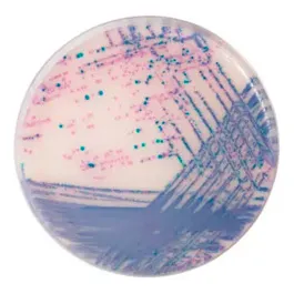 CHROMOGENIC MEDIA CHROMagar™