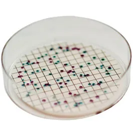 CHROMOGENIC MEDIA CHROMagar™