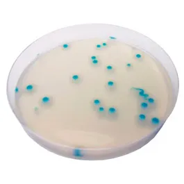 CHROMOGENIC MEDIA CHROMagar™