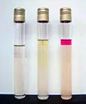 Indol Test and Kovac's Reagent