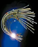 Peristaltic Pump Tubing