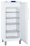 Vertical freezers with forced air cooling -14ºC/-28ºC