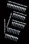 0,2 ml PCR tubes in strips