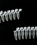 0,2 ml PCR tubes in strips, type 1