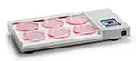 Incubator for Petri dishes