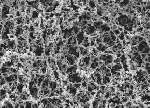 Cellulose Acetate (CA) Membrane