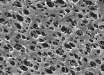 Nylon (NY) filtration membranes