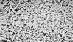 Polypropylene (PP) membrane filters