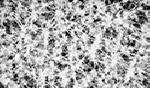 PTFE Membranes, laminated
