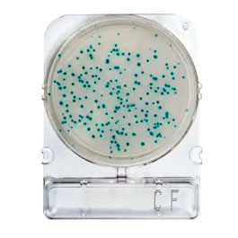 Compact Dry® CF (Coliforms)