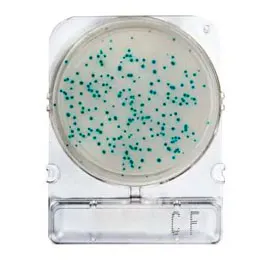 CHROMOGENIC MEDIA COMPACT DRY®