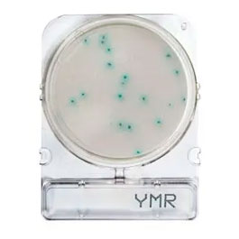Compact Dry® YMR rapid (moulds and yeasts)