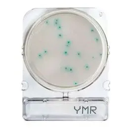 CHROMOGENIC MEDIA COMPACT DRY®