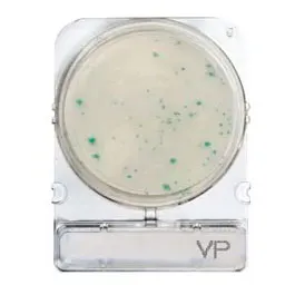CHROMOGENIC MEDIA COMPACT DRY®