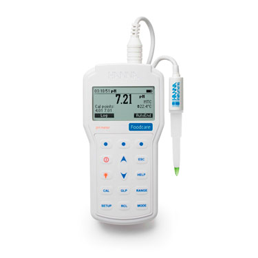 Professional pHmeters for the food industry