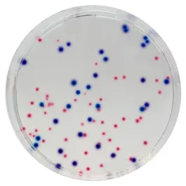 CHROMOGENIC MEDIA CHROMagar™