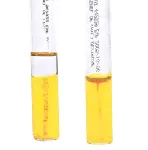 Oxidation-Fermentation Glucose Medium
