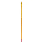 Solid steam and enclosed scale thermometers