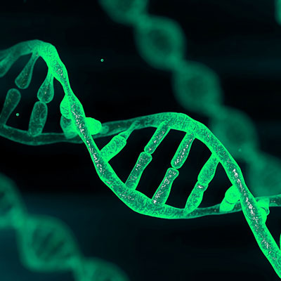 Reagents and solvents for oligonucleotide synthesis