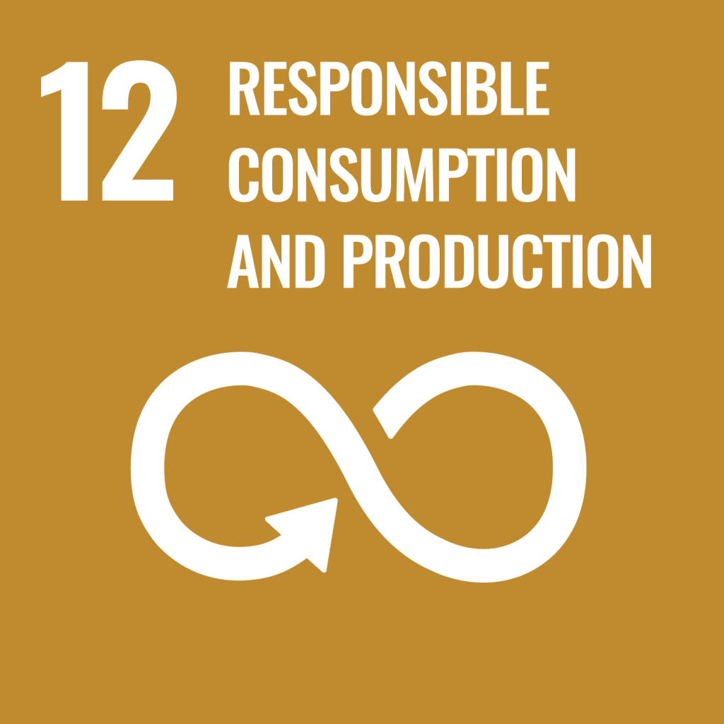 E-WEB-Goal-12 responsible consumption and production