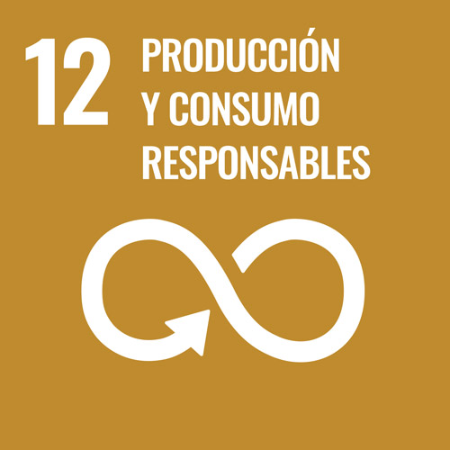 S-WEB-Goal-12 producción y consumo responsables