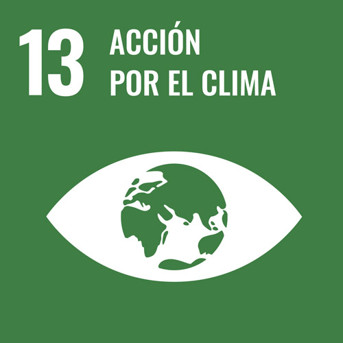 S-WEB-Goal-13 accion por el clima