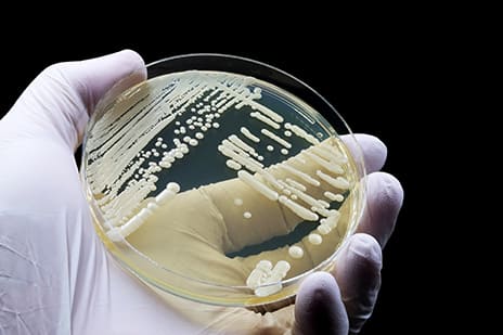 servizi microbiologia