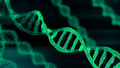 nucleotide synthesis