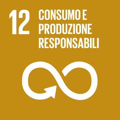 IT-WEB-Goal-12 consumo e produzione responsabili