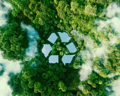 Imballaggi riciclati ed Economia circolare