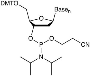 Estructura química de una fosforamidita con grupo DMT en el 5’-OH y grupo amidita en el 3’-P