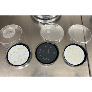 Incubación y lectura para el control de legionella